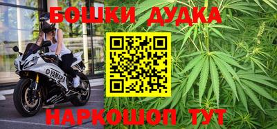шишки Усть-Илимск