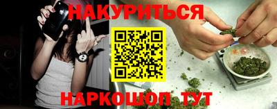 шишки Усть-Илимск