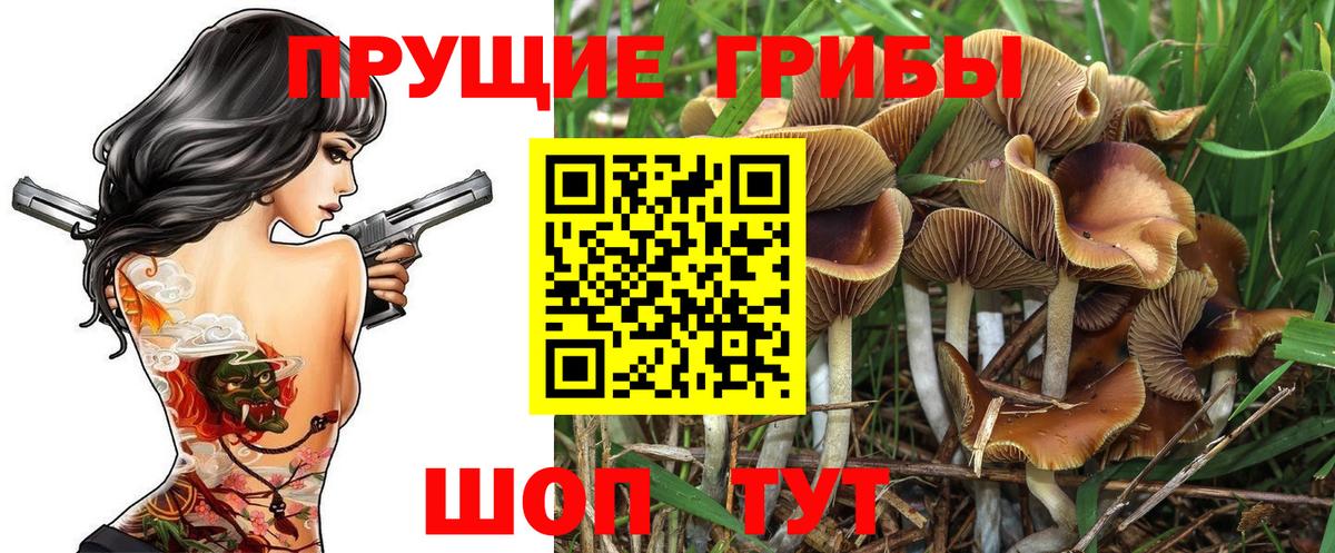 Большой Камень  Псилоцибиновые грибы Magic Shrooms  Вход с VPN 