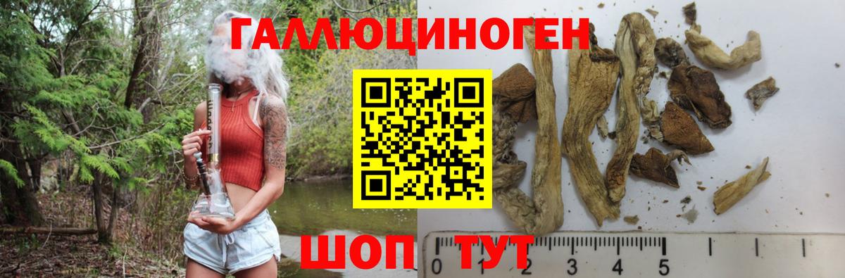 Псилоцибиновые грибы Magic Shrooms Большой Камень