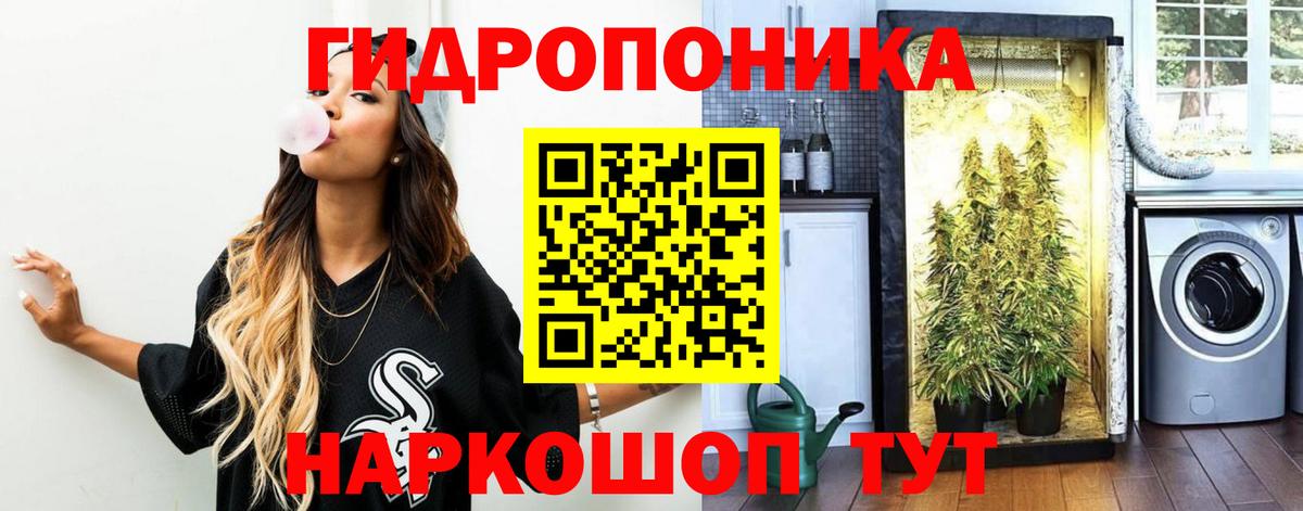 Бошки марихуана марихуана Большой Камень