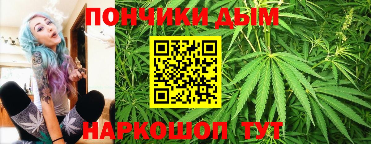 Канабис сатива  Вход с VPN  Марихуана ГИДРОПОН  Бошки Шишки ГИДРОПОН  Конопля тримм  Большой Камень 